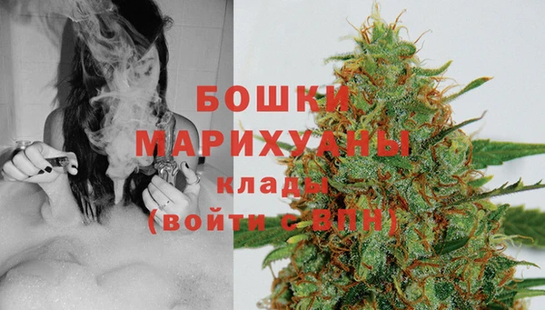 молекула духа Вязьма
