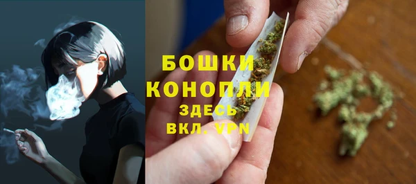 молекула духа Вязьма