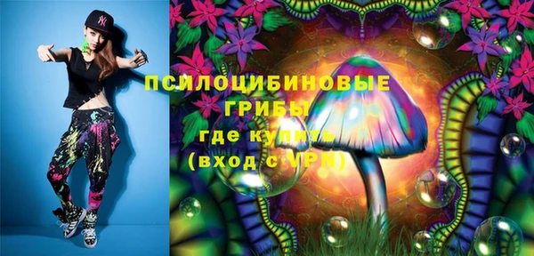 молекула духа Вязьма