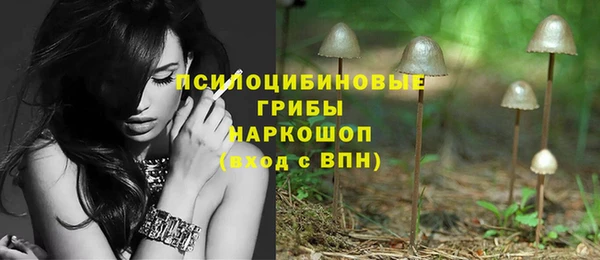 молекула духа Вязьма