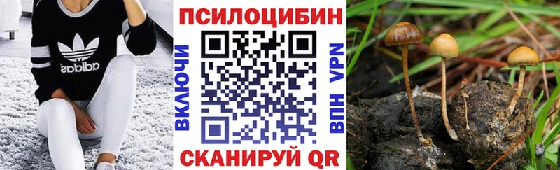 Псилоцибиновые грибы GOLDEN TEACHER  Брюховецкая 